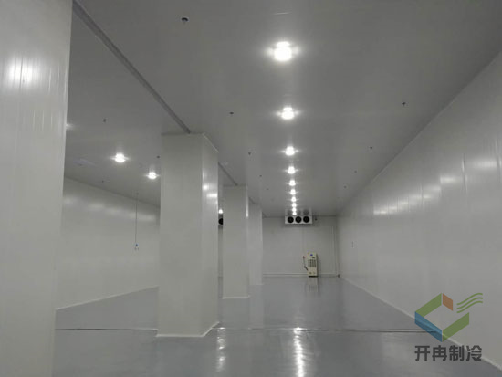 建設(shè)海鮮低溫冷凍庫安裝配置及價格是多少？