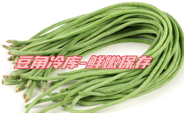 豆角工業冷庫：鮮嫩保存，一年四季供應