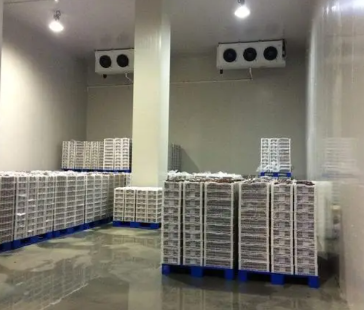 規(guī)范建造100平帶魚冷庫(kù)，為食品保鮮護(hù)航